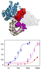 RGS2 G alpha helical domain specificity